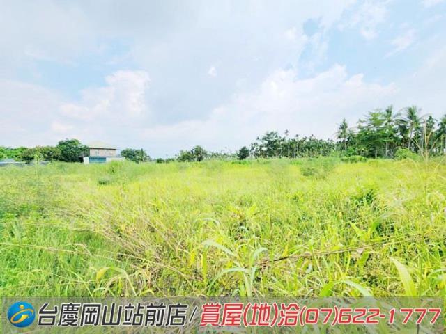 旗山農地-10