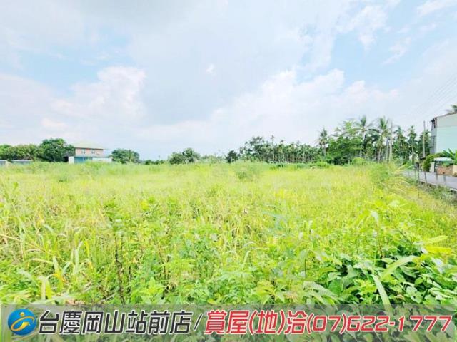 旗山農地-7