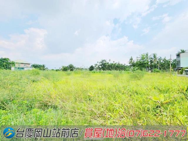 旗山農地-8