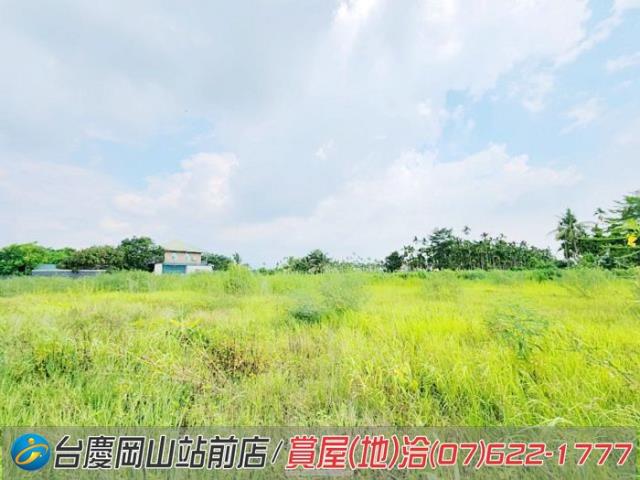 旗山農地-9