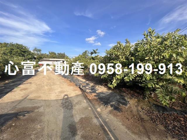 高雄農地-1