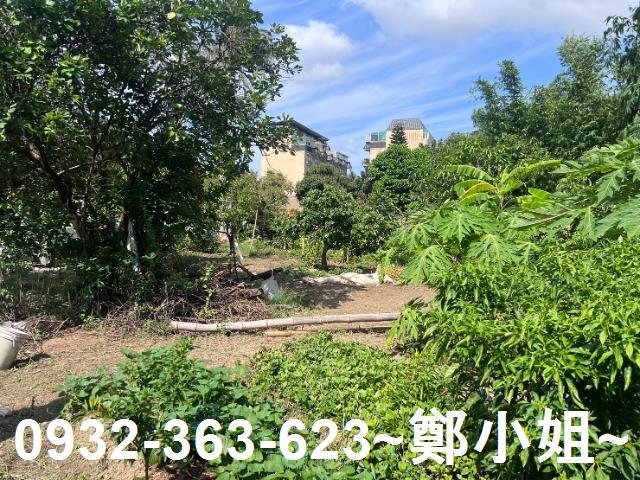 桃園桃園區農地-10