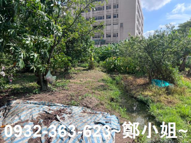 桃園桃園區農地-11