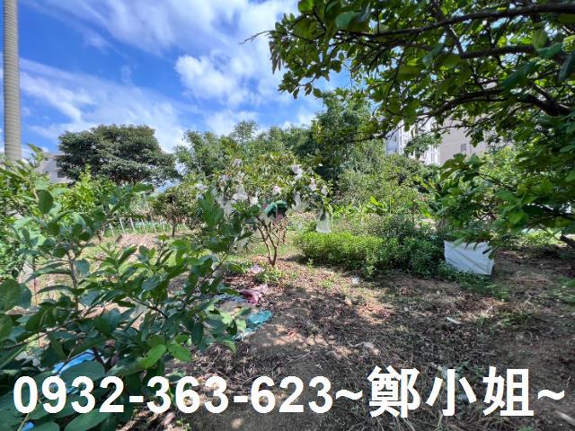 桃園桃園區農地-13