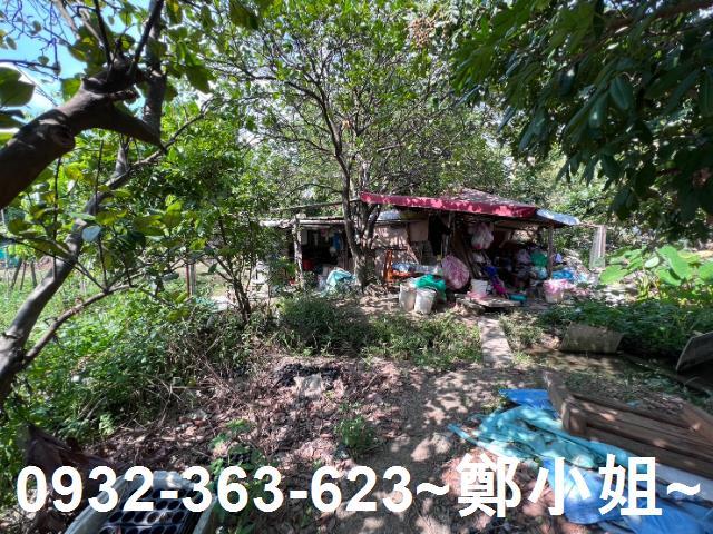 桃園桃園區農地-14