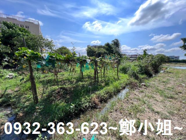 桃園桃園區農地-15