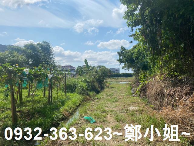 桃園桃園區農地-1