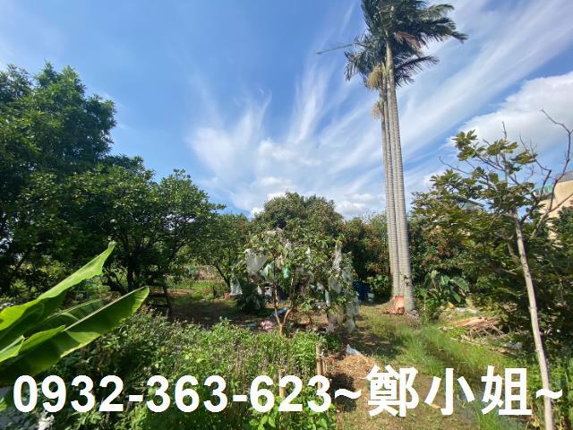 桃園桃園區農地-4