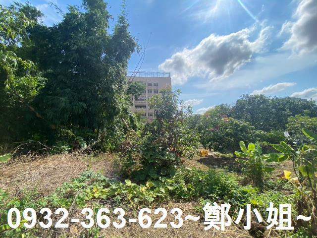 桃園桃園區農地-5