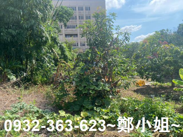桃園桃園區農地-6