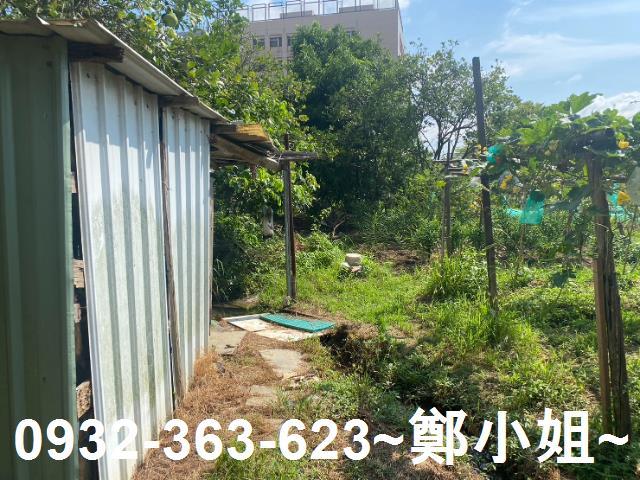桃園桃園區農地-7