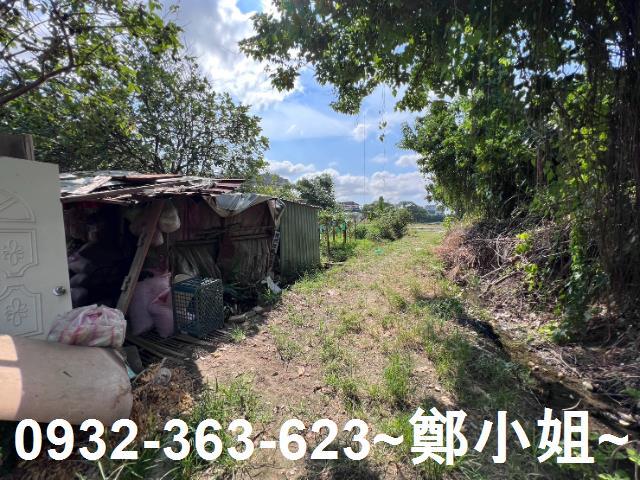 桃園桃園區農地-8