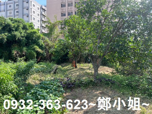 桃園桃園區農地-9