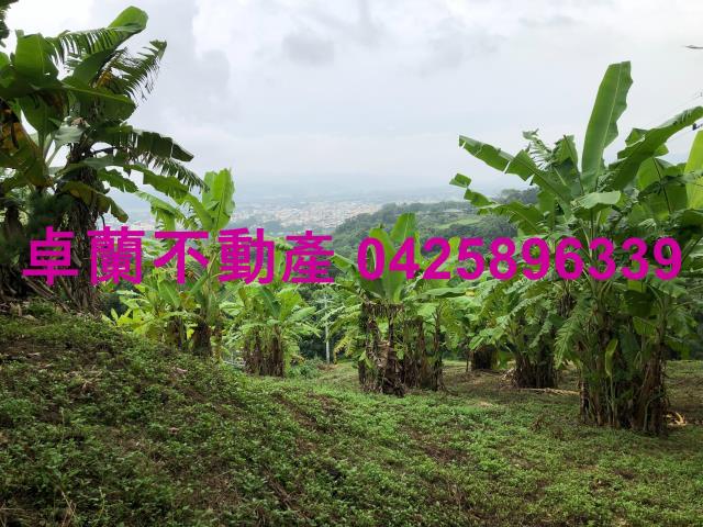 卓蘭農地-4
