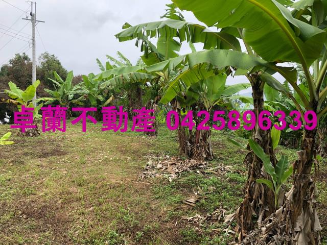 卓蘭農地-7