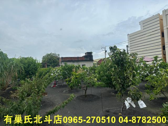 彰化大村農地-3