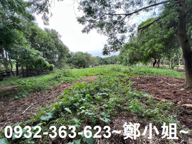 桃園蘆竹農地-12