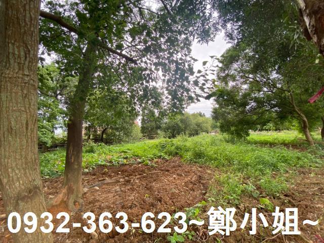 桃園蘆竹農地-15