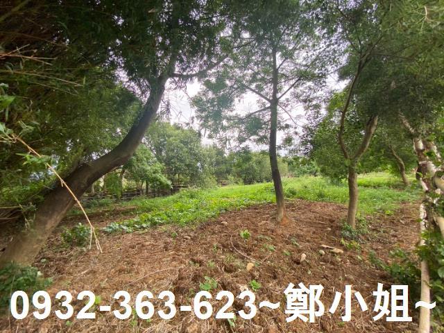 桃園蘆竹農地-3