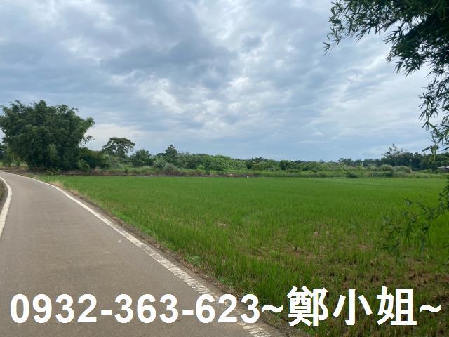 桃園蘆竹農地-5