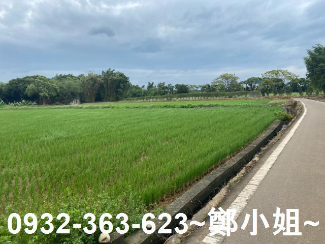 桃園蘆竹農地-6