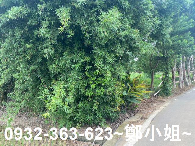 桃園蘆竹農地-7