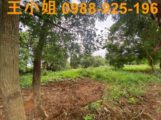 桃園蘆竹農地-10