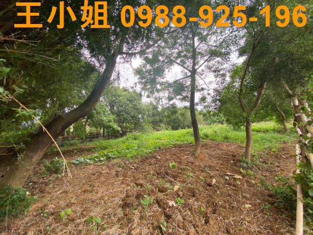 桃園蘆竹農地-11