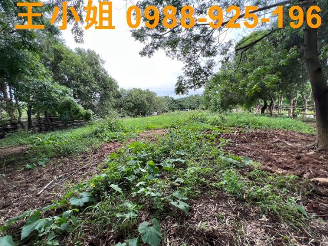 桃園蘆竹農地-12