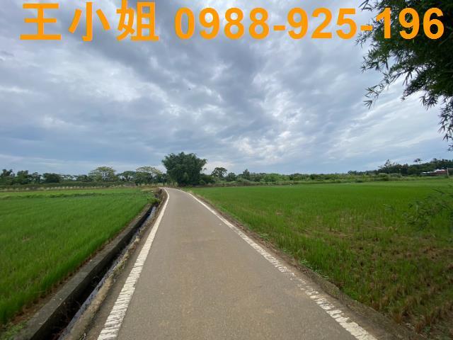 桃園蘆竹農地-1