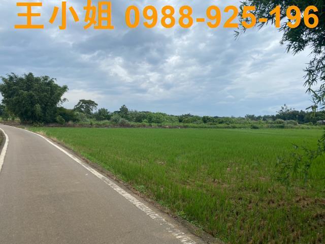 桃園蘆竹農地-3
