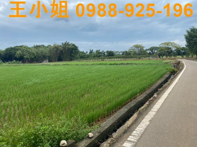 桃園蘆竹農地-4