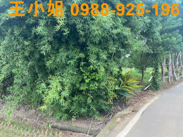 桃園蘆竹農地-7