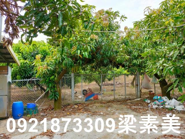 玉井農地-12