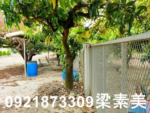 玉井農地-3