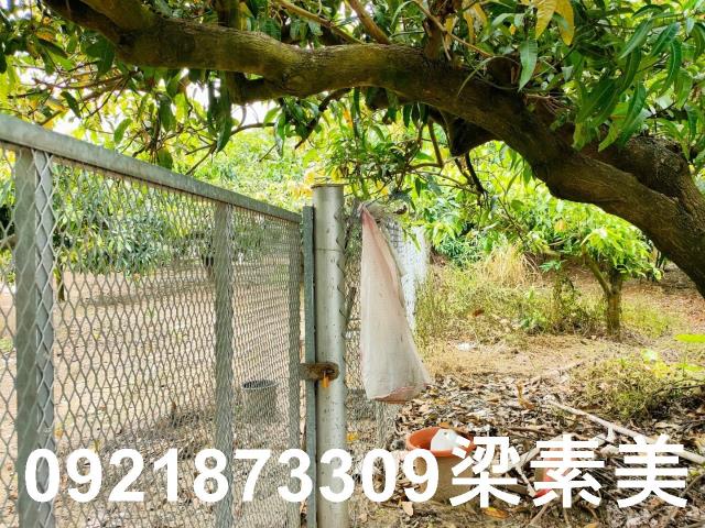 玉井農地-8