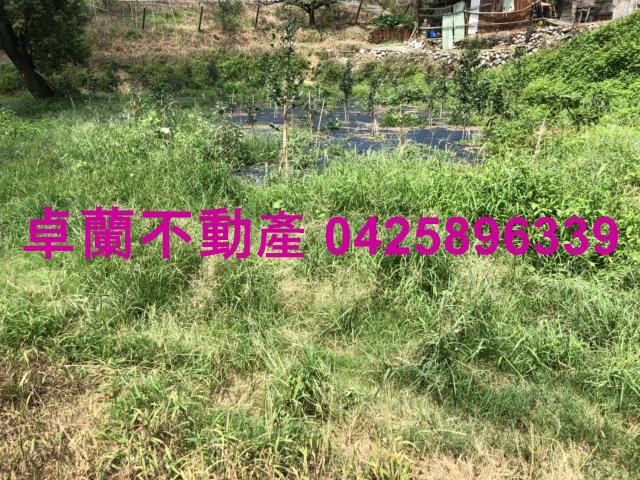 苗栗農地-11