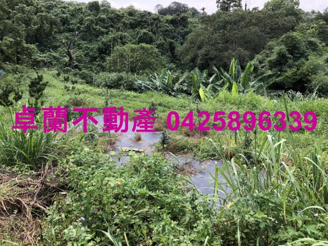 苗栗農地-12