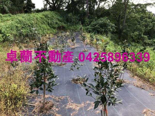 苗栗農地-13