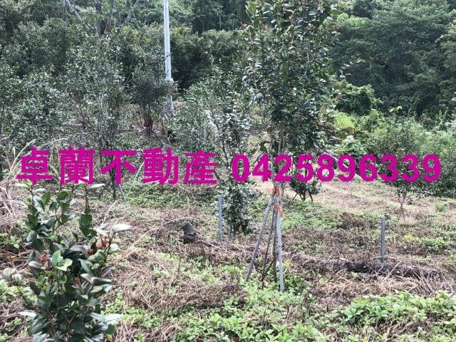 苗栗農地-5