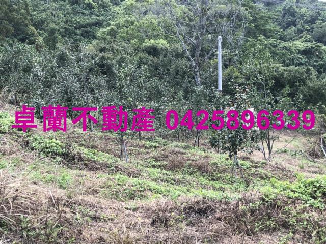 苗栗農地-6
