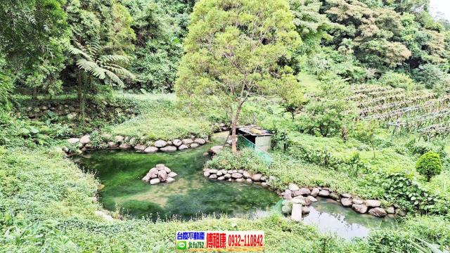苗栗農地-2