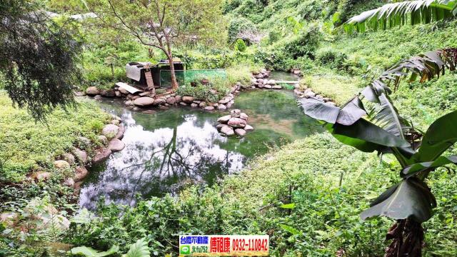 苗栗農地-3