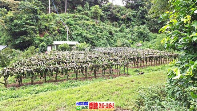 苗栗農地-4