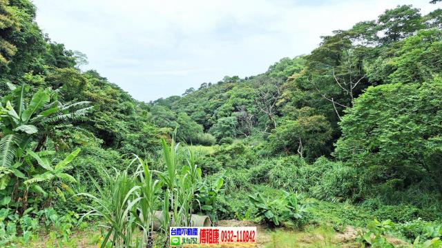 苗栗農地-7