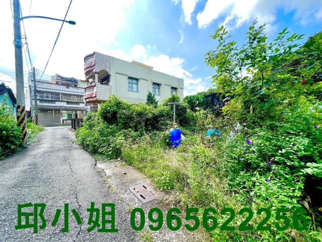 嘉義水上農地-2