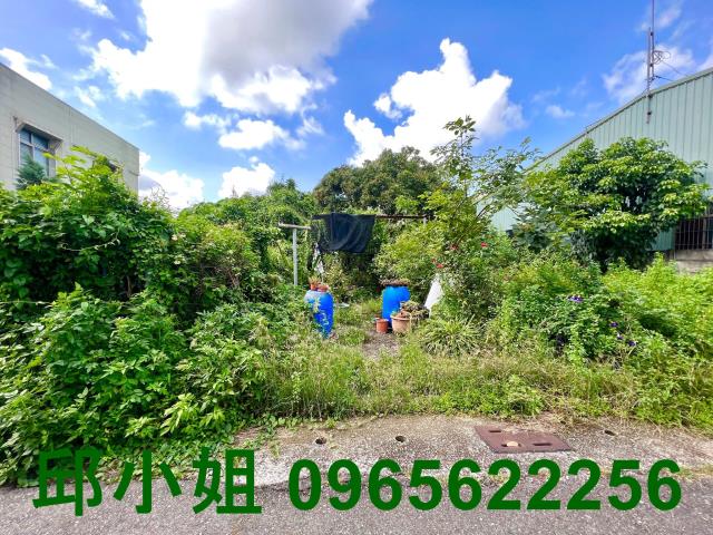 嘉義水上農地-1