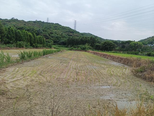 桃園農地-1