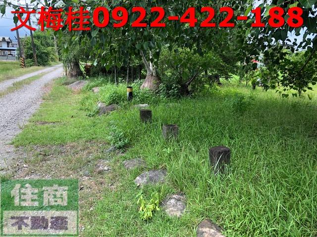 宜蘭宜蘭市農地-3