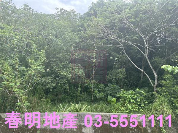 新竹香山農地-5